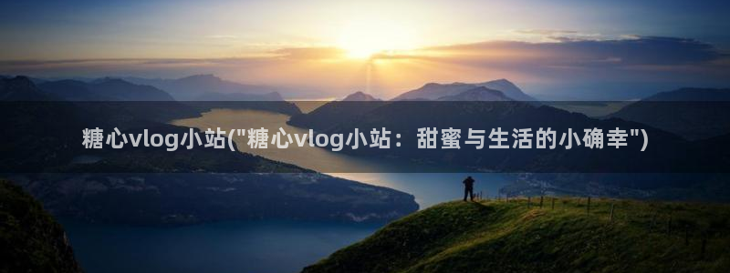 糖心vlogl