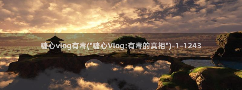 心糖vlog